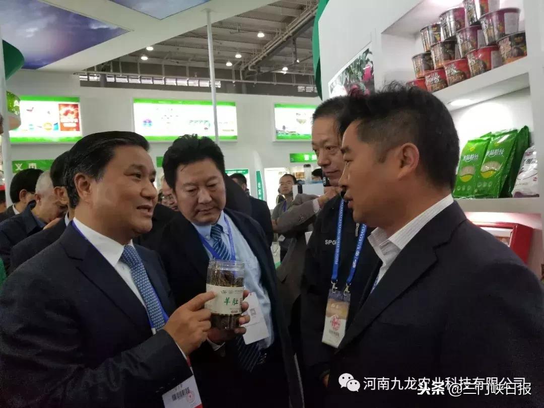揭秘刘保仓在2017年的魅力与成就
