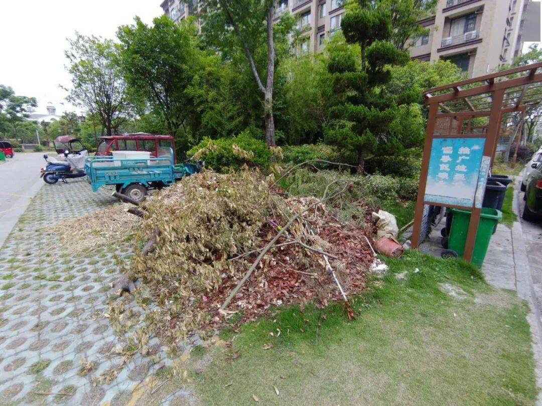 江都学府景园最新资讯，开启学习无限可能之旅